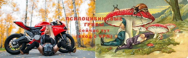 скорость Белокуриха