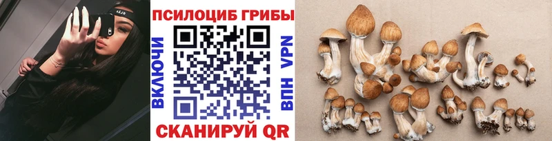 Купить где  Малаховка  Галлюциногенные грибы ЛСД 