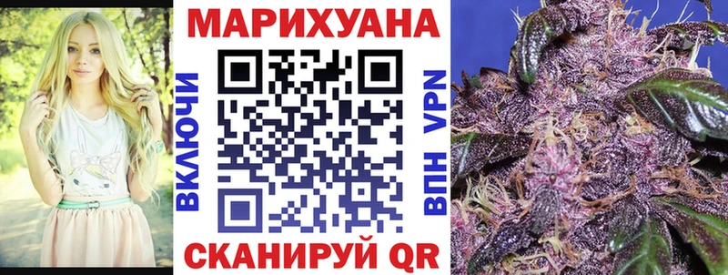 Купить где  Малаховка  Марихуана сатива 